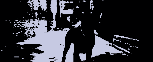 Doberman